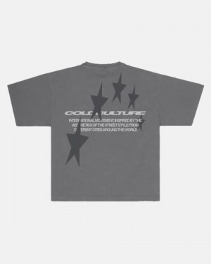 Cold Culture Cosmos Arc T Shirt Grey | 12630-FNHT