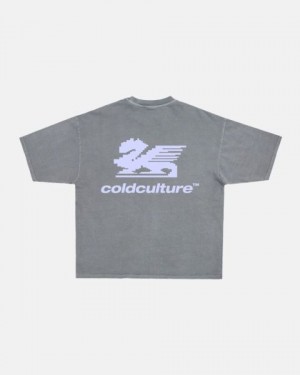 Cold Culture Dragon Pixel T Shirt Grey | 35980-UFSD