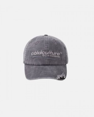 Cold Culture Enterprise Caps Grey | 67291-BXUD