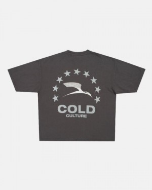 Cold Culture Heights T Shirt Grey | 26034-JYVQ