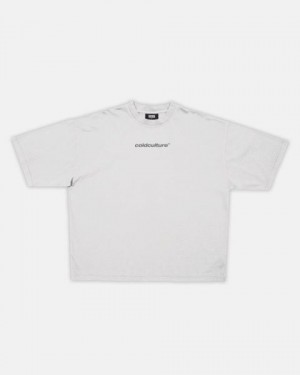 Cold Culture Italic T Shirt Light Grey | 21367-HRZV