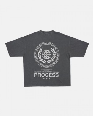 Cold Culture Laurel World T Shirt Grey | 23560-MEAW