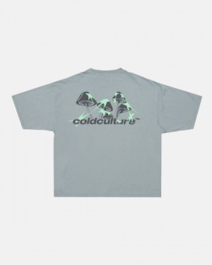Cold Culture Mushrooms T Shirt Grey | 97032-SIEP