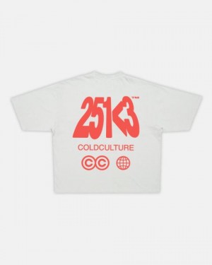 Cold Culture Number Perspective T Shirt Light Grey | 56438-OTFI
