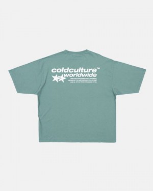Cold Culture Status T Shirt Grey Green | 49516-CTLQ
