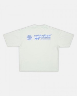 Cold Culture Status T Shirt Grey | 26035-RLWT