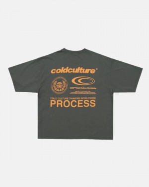 Cold Culture Visualize T Shirt Grey | 85214-KUWS