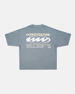 Cold Culture Worldwide Circle T Shirt Grey | 87395-OFRE
