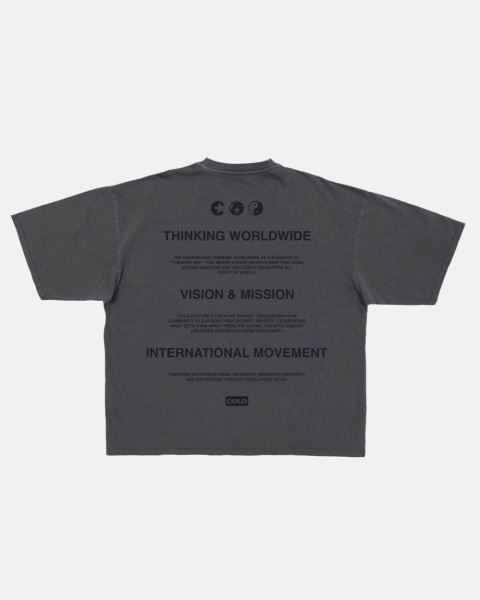 Cold Culture About T Shirt Grey | 15293-SGWK