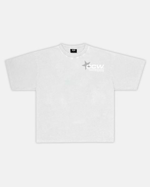 Cold Culture Astro T Shirt Light Grey | 06793-KJYN
