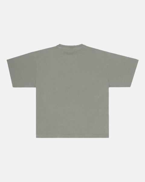 Cold Culture Cc Logo Star T Shirt Beige Grey | 30978-YZSA