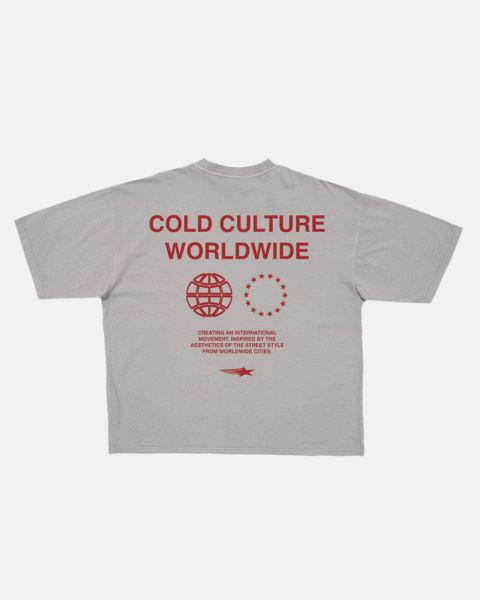 Cold Culture Community T Shirt Grey | 27618-DXQG