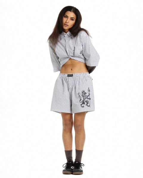 Cold Culture Companion Lion Boxer Striped Underwear Dark Grey | 41027-TVDO