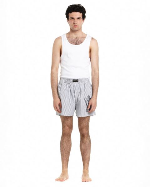 Cold Culture Companion Lion Boxer Striped Underwear Dark Grey | 41027-TVDO