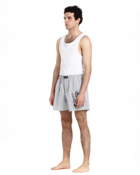 Cold Culture Companion Lion Boxer Striped Underwear Dark Grey | 41027-TVDO