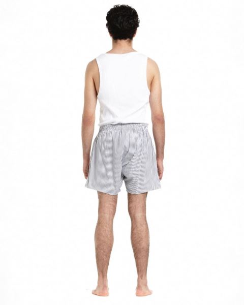 Cold Culture Companion Lion Boxer Striped Underwear Dark Grey | 41027-TVDO