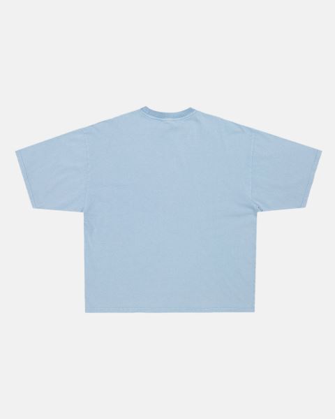 Cold Culture Company T Shirt Blue | 62749-HBWN