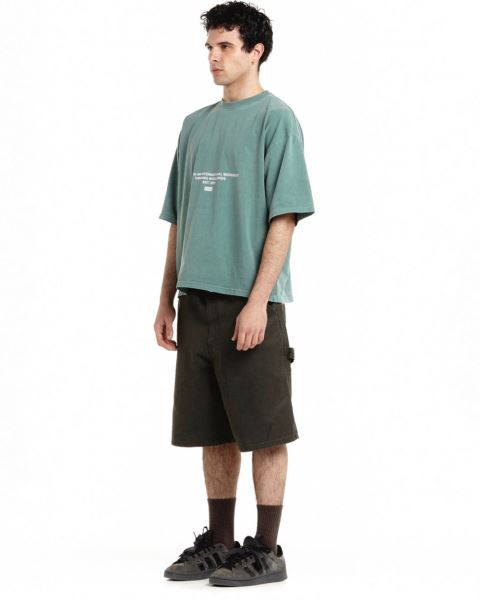 Cold Culture Continents T Shirt Grey Green | 60738-SVDI