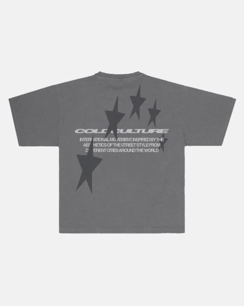 Cold Culture Cosmos Arc T Shirt Grey | 12630-FNHT