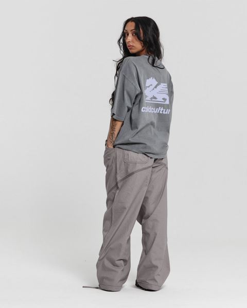 Cold Culture Dragon Pixel T Shirt Grey | 35980-UFSD