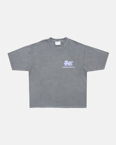 Cold Culture Dragon Pixel T Shirt Grey | 35980-UFSD
