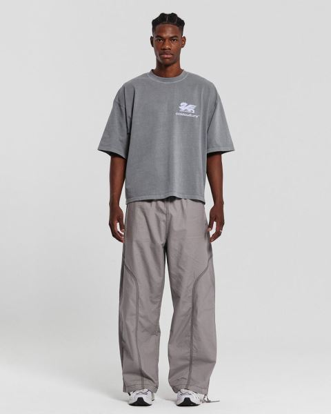 Cold Culture Dragon Pixel T Shirt Grey | 35980-UFSD