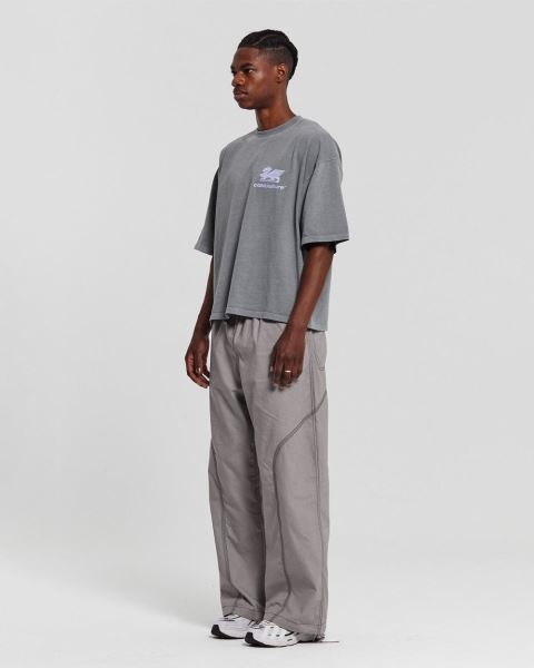 Cold Culture Dragon Pixel T Shirt Grey | 35980-UFSD