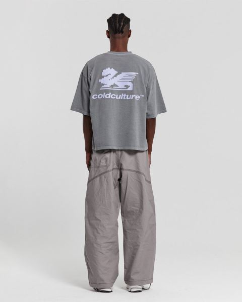 Cold Culture Dragon Pixel T Shirt Grey | 35980-UFSD