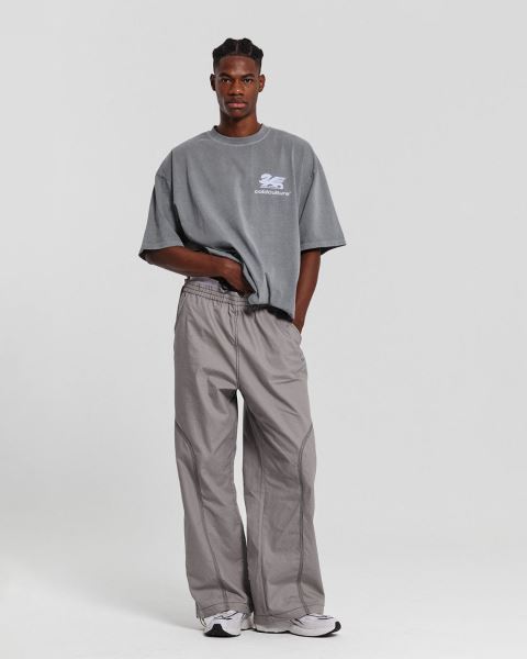 Cold Culture Dragon Pixel T Shirt Grey | 35980-UFSD