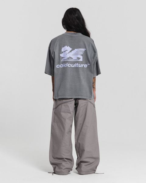 Cold Culture Dragon Pixel T Shirt Grey | 35980-UFSD
