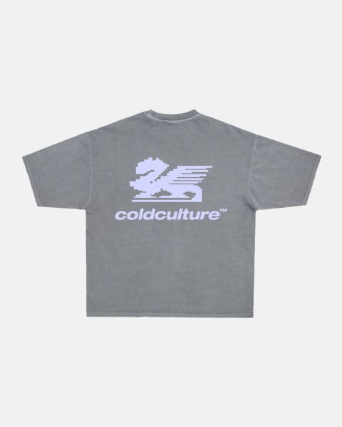 Cold Culture Dragon Pixel T Shirt Grey | 35980-UFSD
