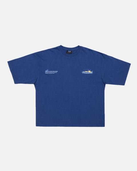 Cold Culture Flame T Shirt Light Blue | 32915-CMZL