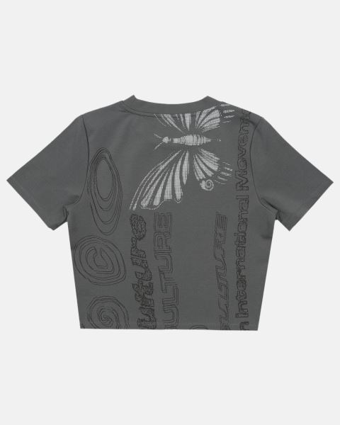 Cold Culture Flying T Shirt Grey | 89036-IHVC