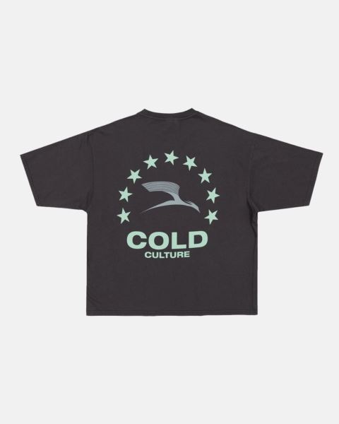 Cold Culture Heights T Shirt AZURE Blue | 34958-LKBH