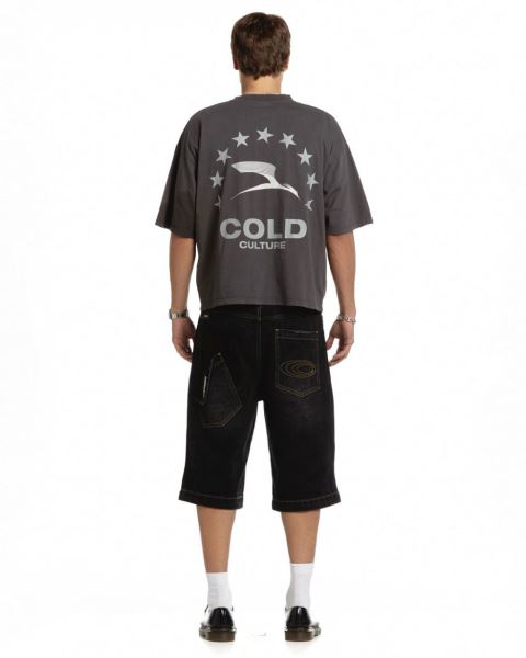 Cold Culture Heights T Shirt Grey | 26034-JYVQ