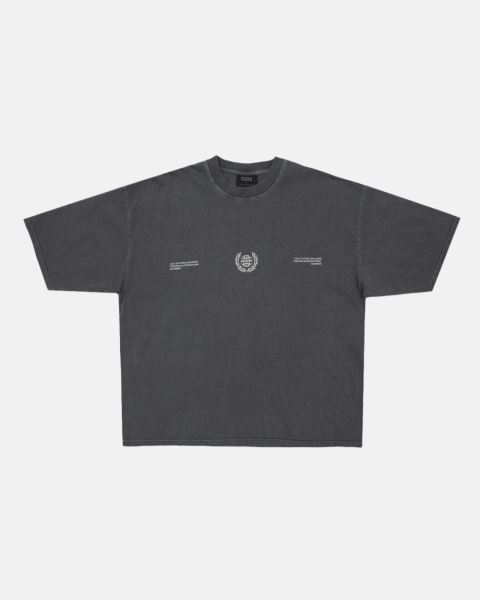 Cold Culture Laurel World T Shirt Grey | 23560-MEAW
