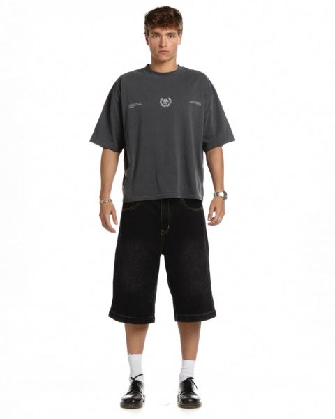 Cold Culture Laurel World T Shirt Grey | 23560-MEAW