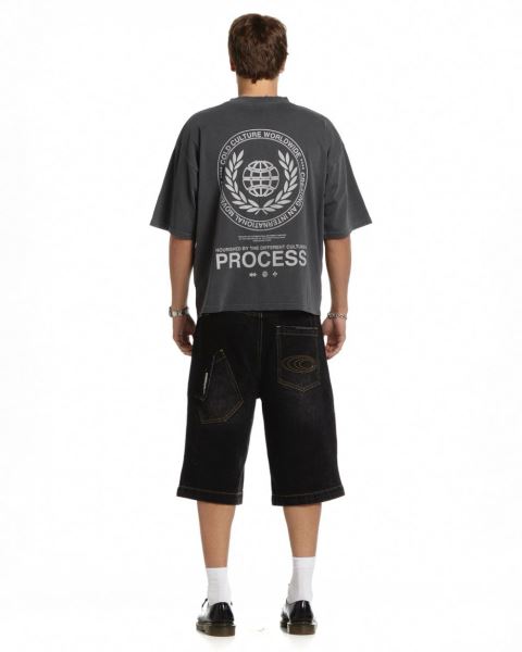 Cold Culture Laurel World T Shirt Grey | 23560-MEAW