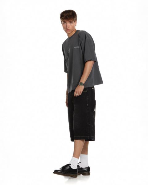 Cold Culture Laurel World T Shirt Grey | 23560-MEAW