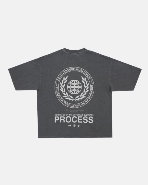 Cold Culture Laurel World T Shirt Grey | 23560-MEAW