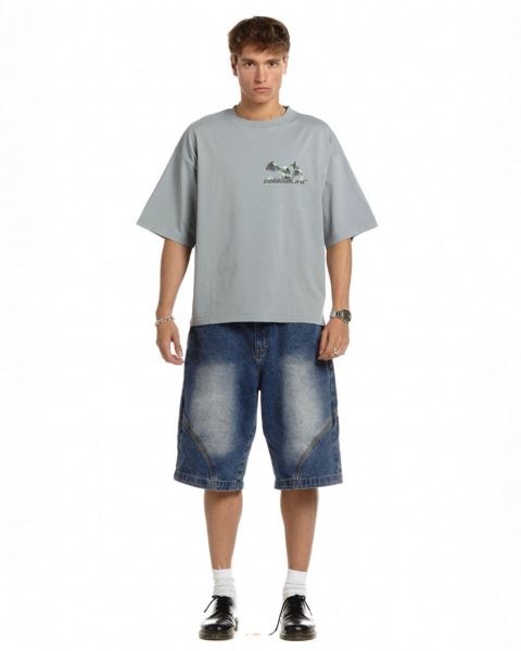 Cold Culture Mushrooms T Shirt Grey | 97032-SIEP