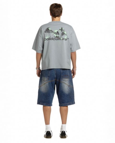 Cold Culture Mushrooms T Shirt Grey | 97032-SIEP