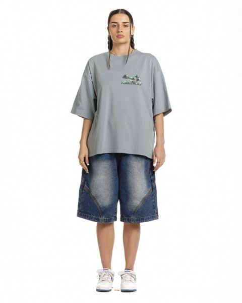 Cold Culture Mushrooms T Shirt Grey | 97032-SIEP