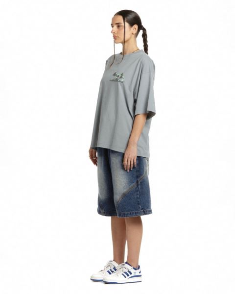 Cold Culture Mushrooms T Shirt Grey | 97032-SIEP