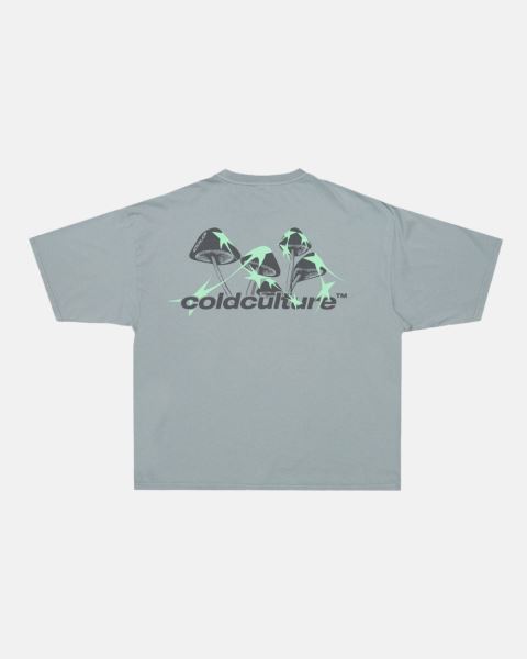 Cold Culture Mushrooms T Shirt Grey | 97032-SIEP