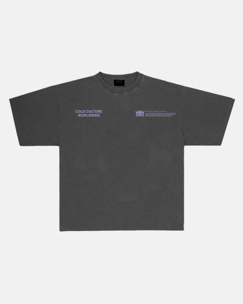 Cold Culture Resilience T Shirt Grey | 30945-JFPT