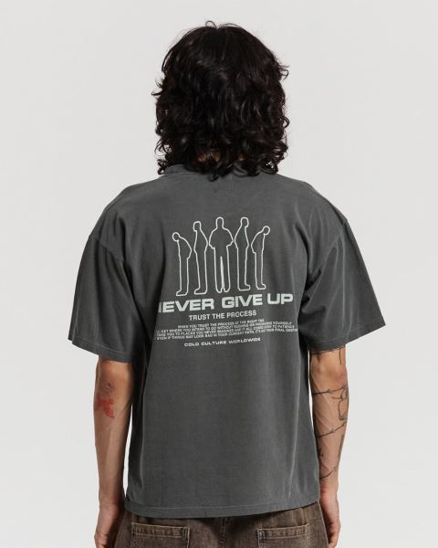 Cold Culture Resilience T Shirt Grey | 30945-JFPT