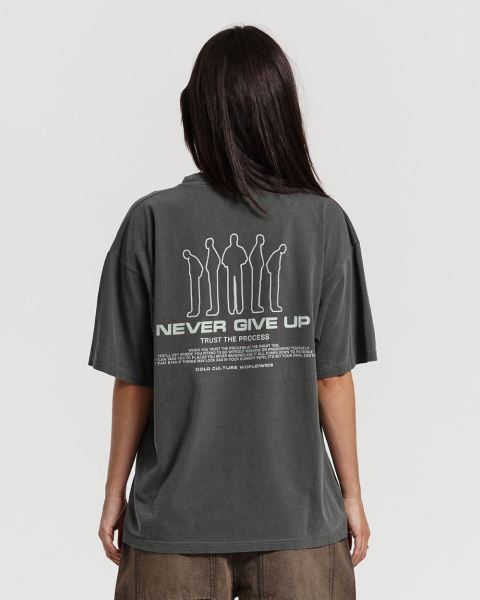 Cold Culture Resilience T Shirt Grey | 30945-JFPT