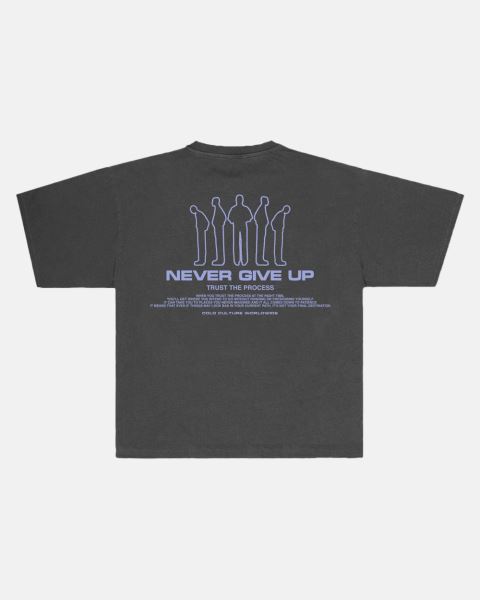 Cold Culture Resilience T Shirt Grey | 30945-JFPT