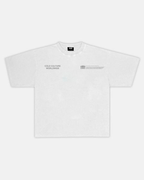 Cold Culture Resilience T Shirt Light Grey | 72980-IJDN